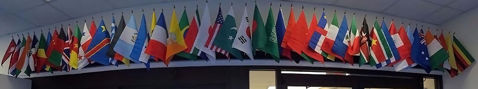 globalleximage