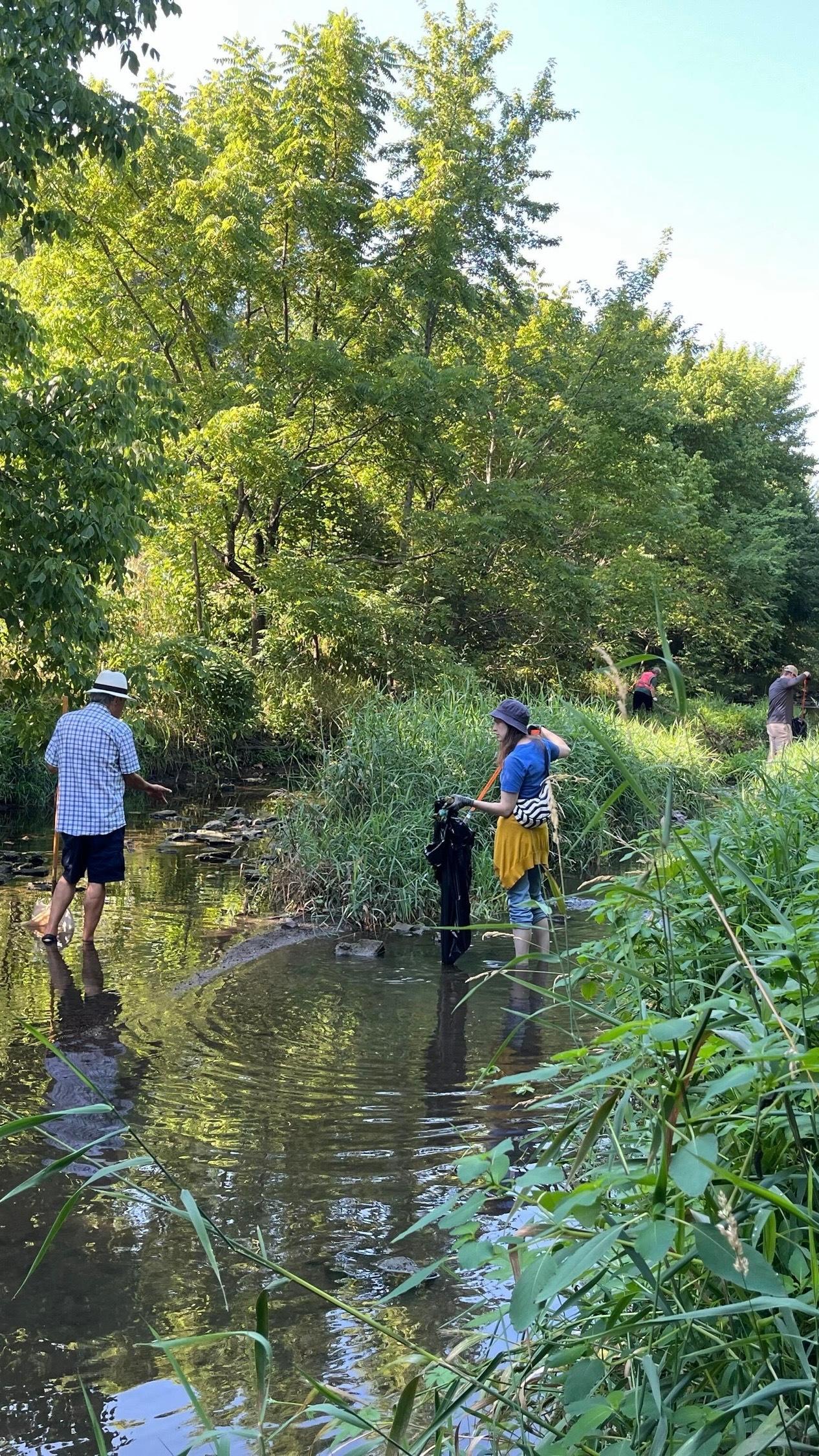 People in a stream cleaning up.