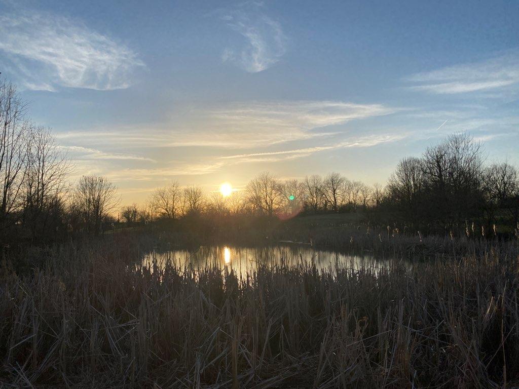 The pond at Hisle Farm Park.
