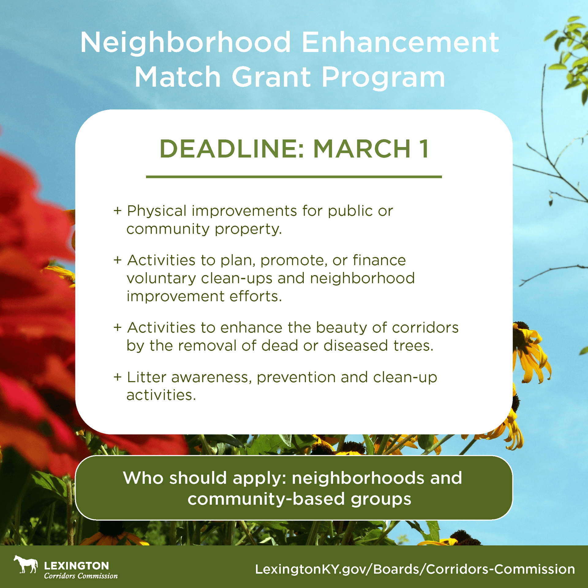 Graphic image that provides information about the Neighborhood Enhancement Grant Match Program